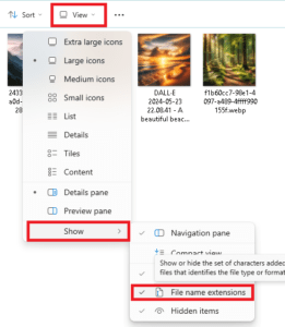 show file extensions windows 11
