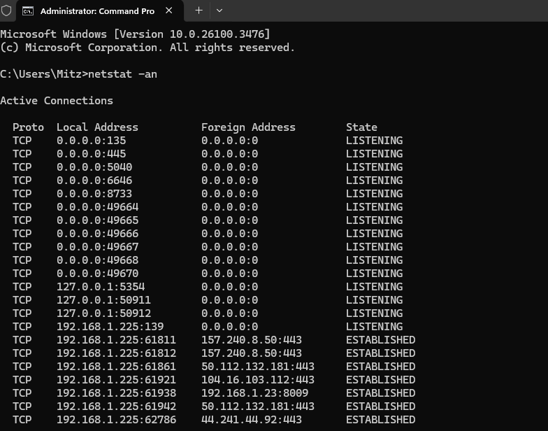 using netstat command